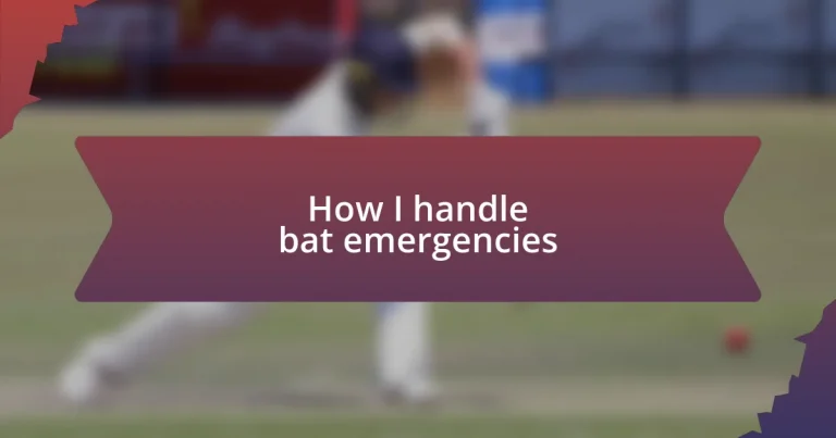 How I handle bat emergencies