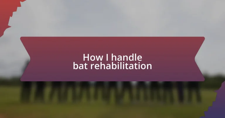 How I handle bat rehabilitation