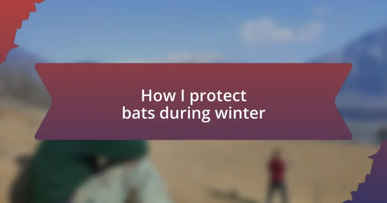 How I protect bats during winter