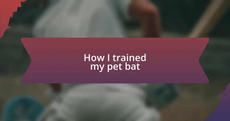 How I trained my pet bat