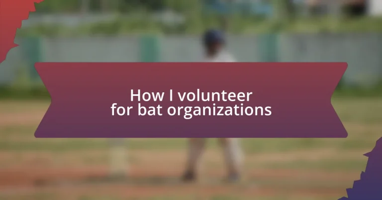 How I volunteer for bat organizations