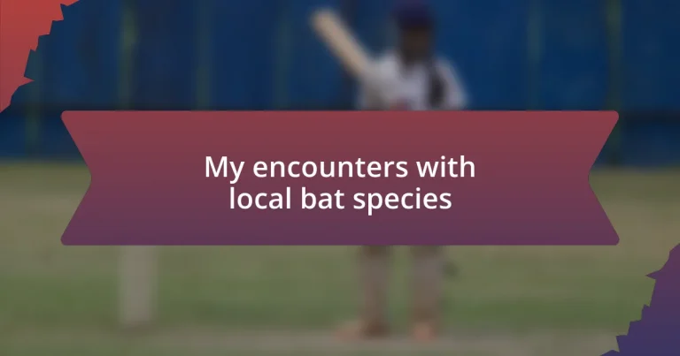 My encounters with local bat species