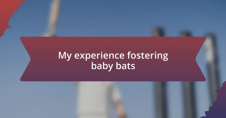 My experience fostering baby bats