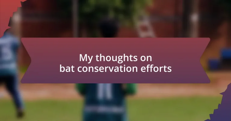 My thoughts on bat conservation efforts