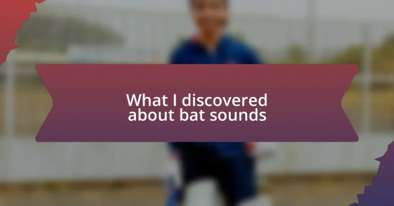 What I discovered about bat sounds