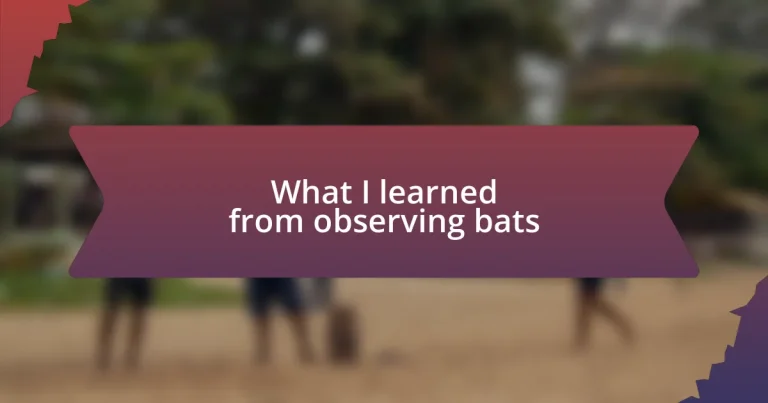 What I learned from observing bats