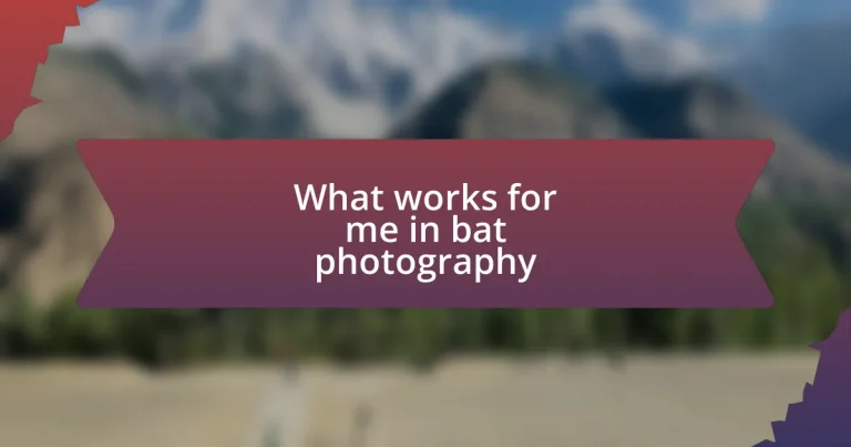 What works for me in bat photography