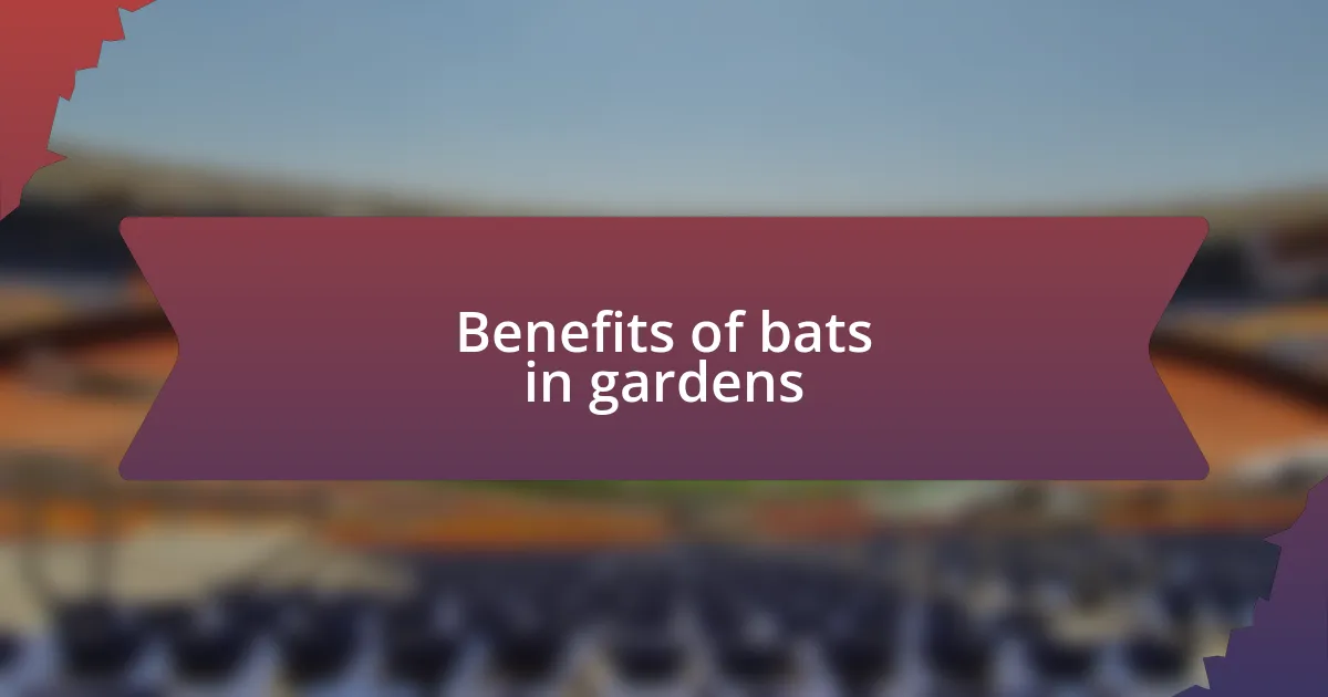 Benefits of bats in gardens