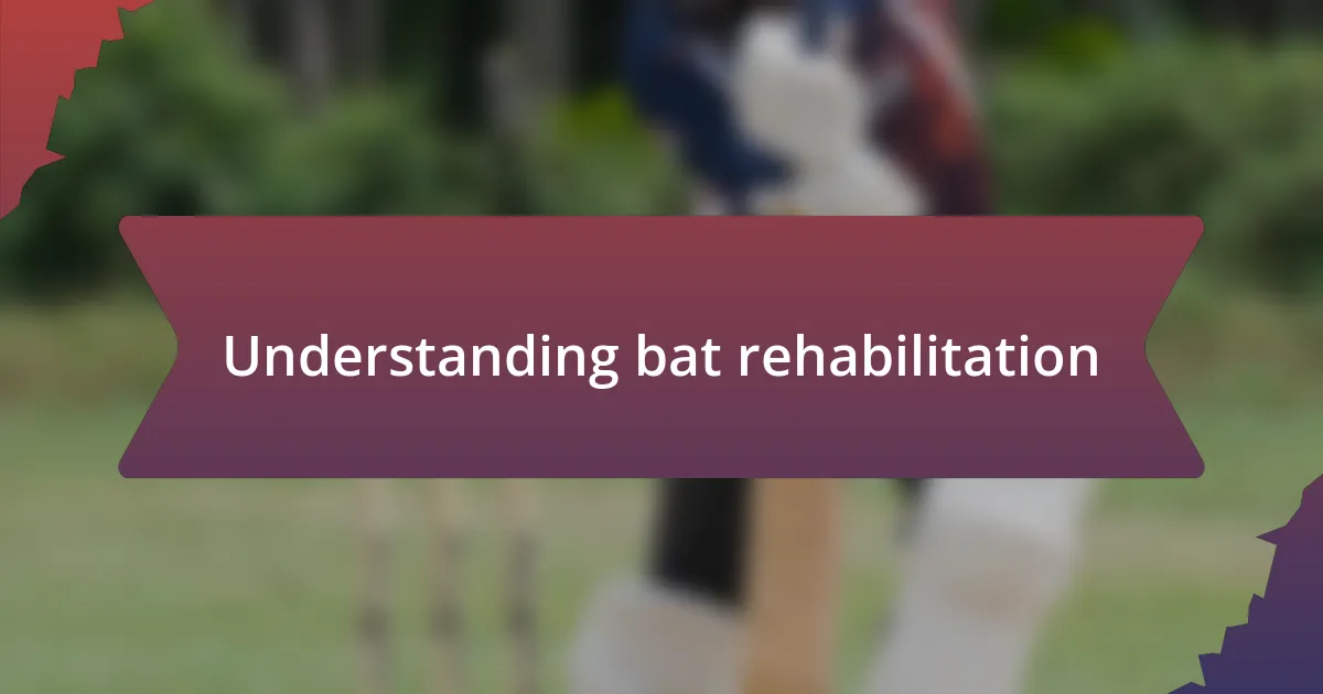 Understanding bat rehabilitation