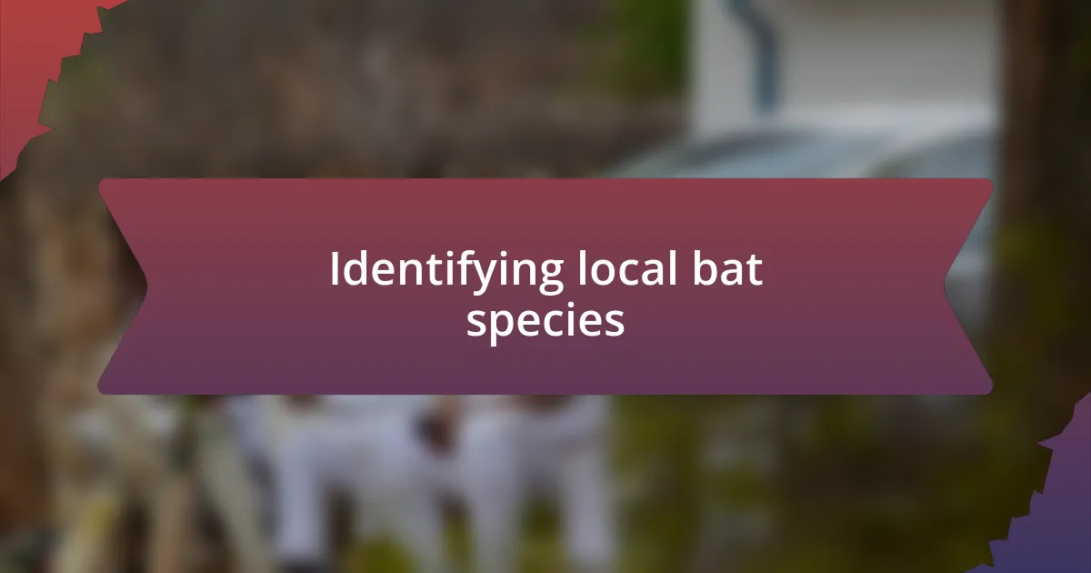 Identifying local bat species