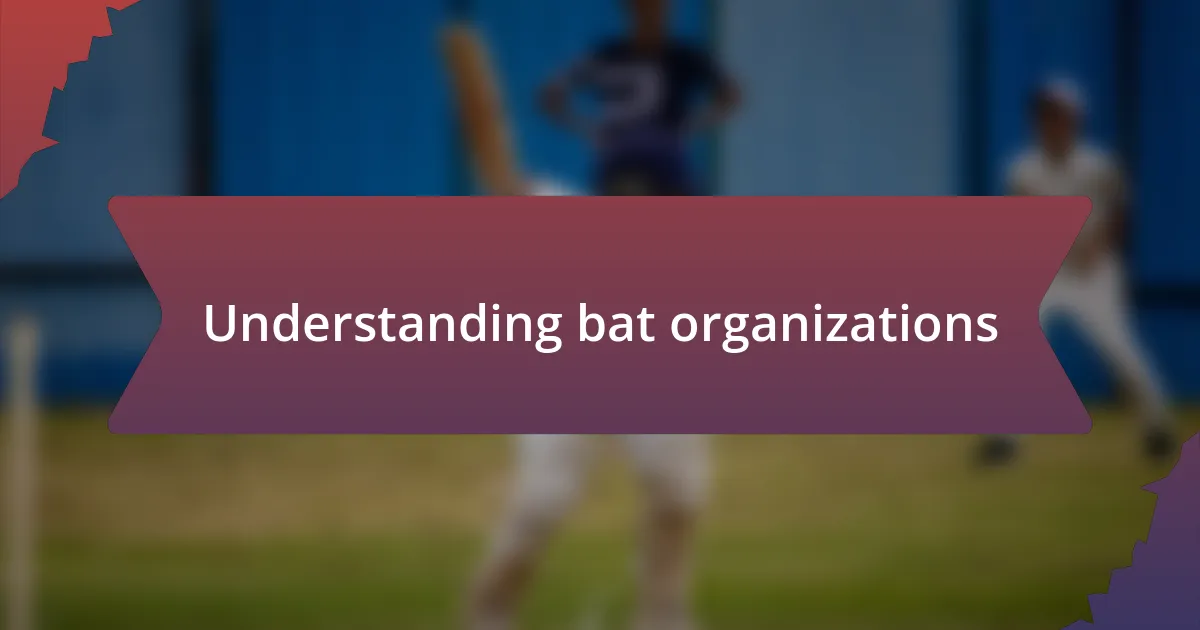 Understanding bat organizations