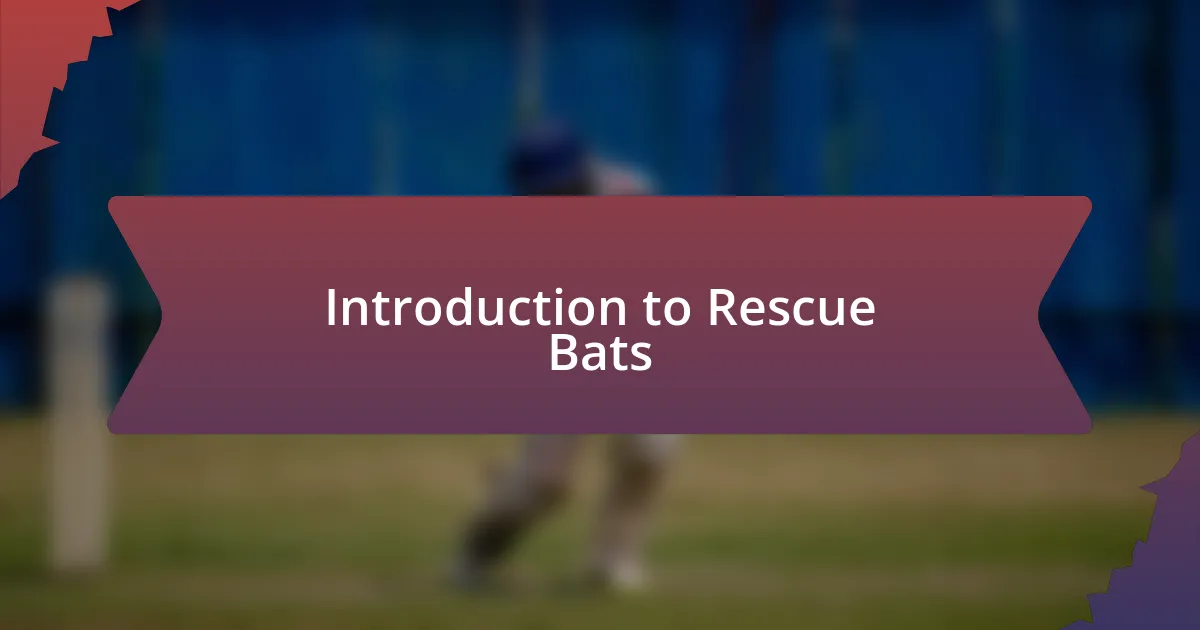 Introduction to Rescue Bats