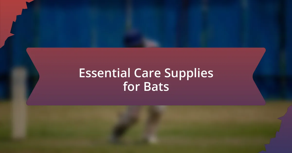 Essential Care Supplies for Bats