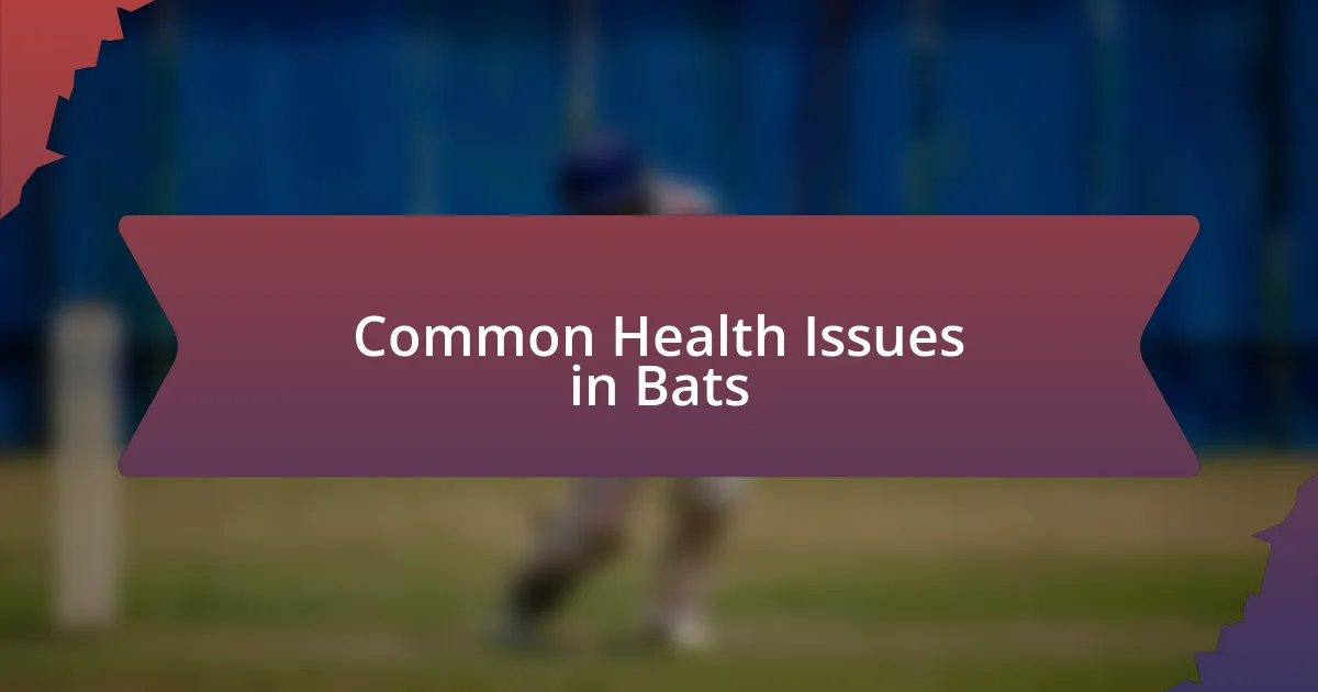 Common Health Issues in Bats