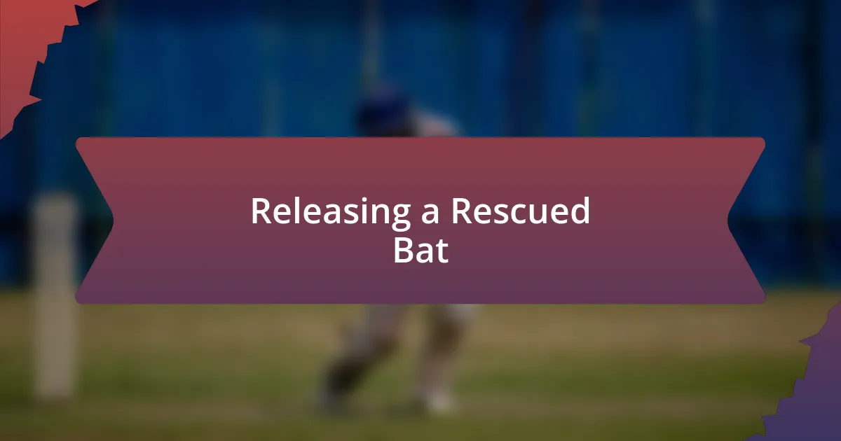 Releasing a Rescued Bat