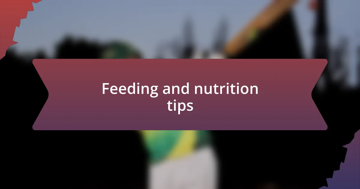 Feeding and nutrition tips