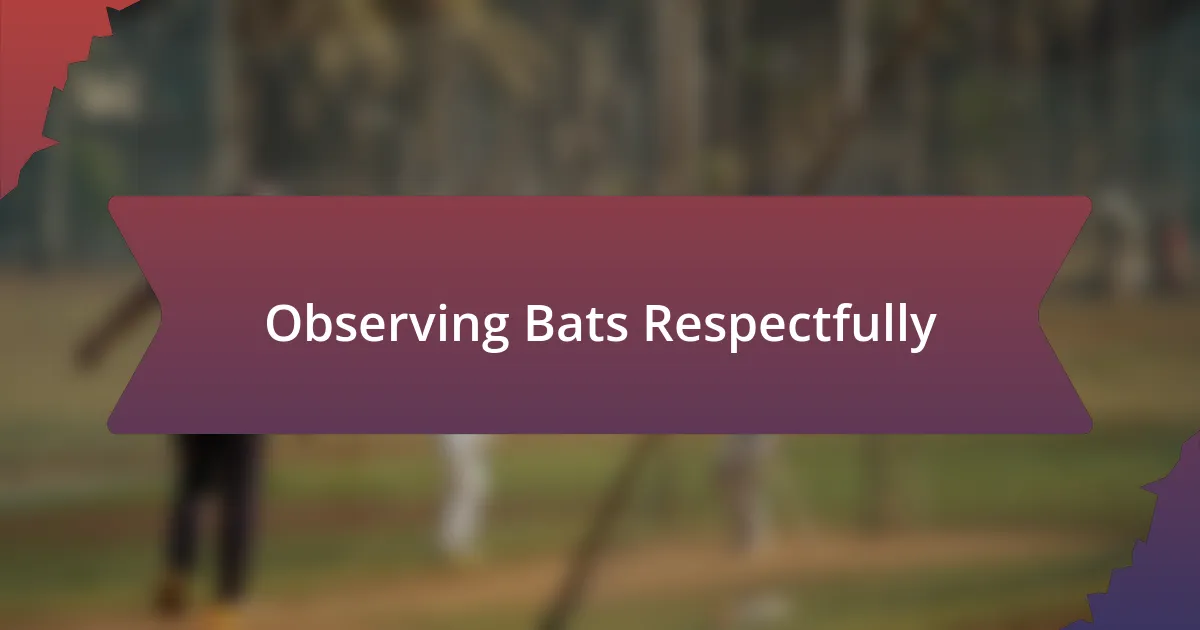 Observing Bats Respectfully