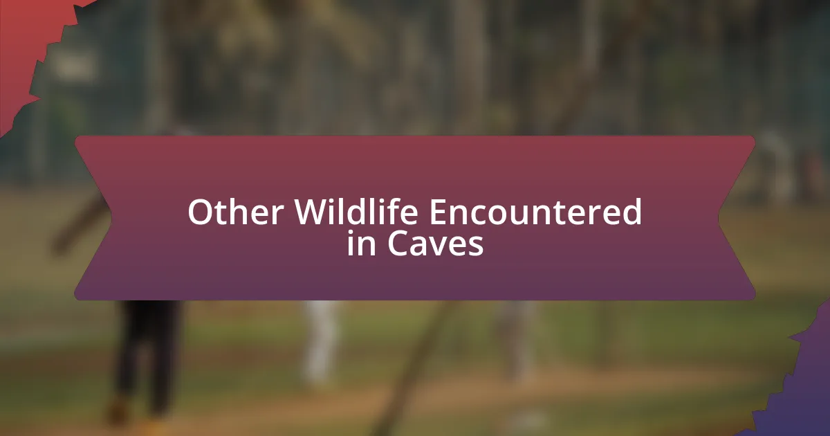 Other Wildlife Encountered in Caves