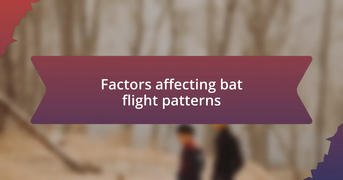 Factors affecting bat flight patterns