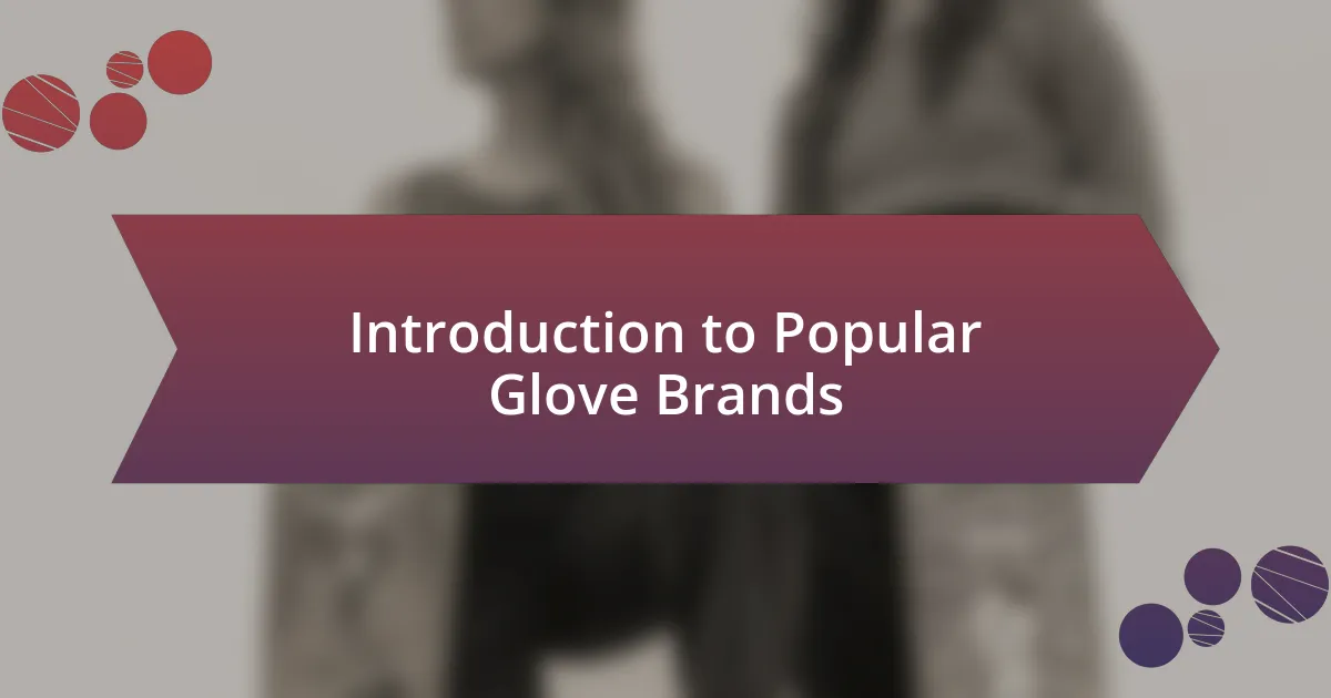 Introduction to Popular Glove Brands