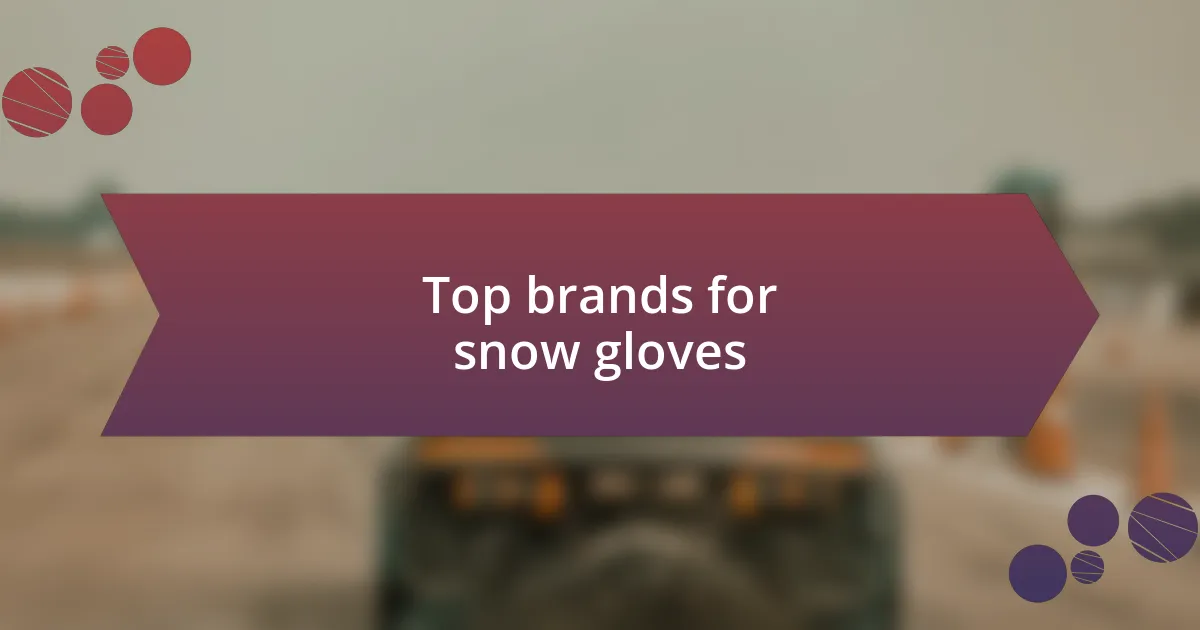 Top brands for snow gloves