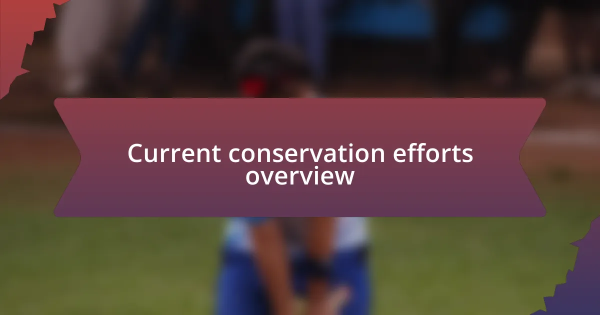 Current conservation efforts overview