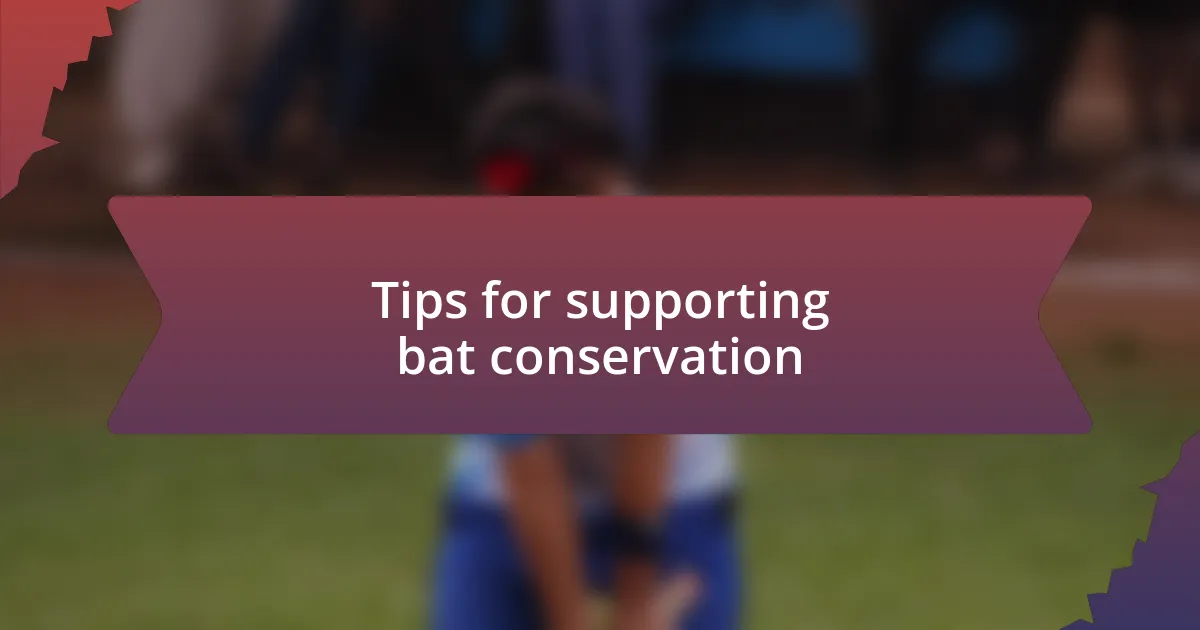 Tips for supporting bat conservation