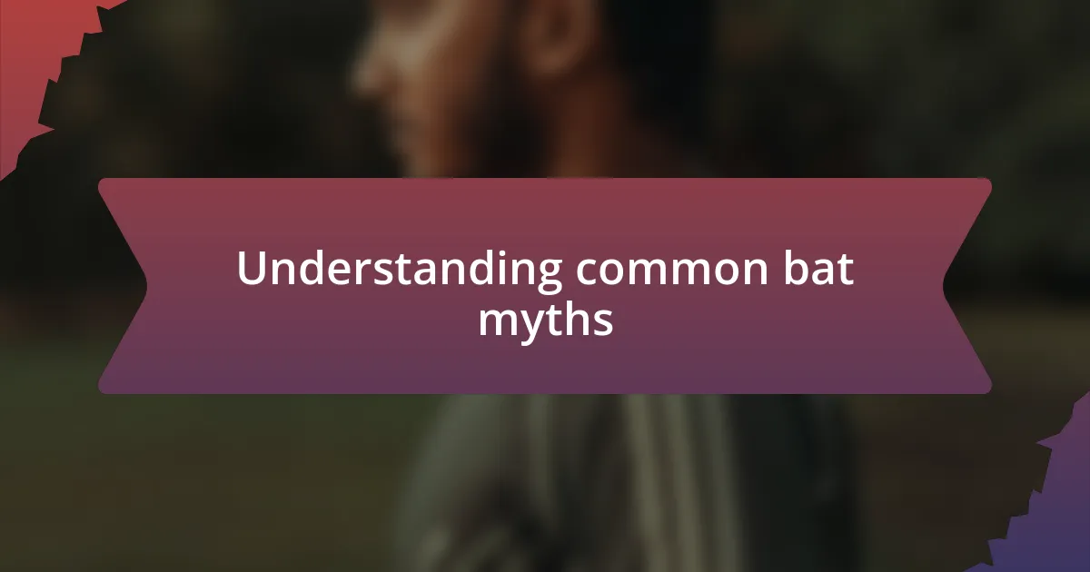 Understanding common bat myths