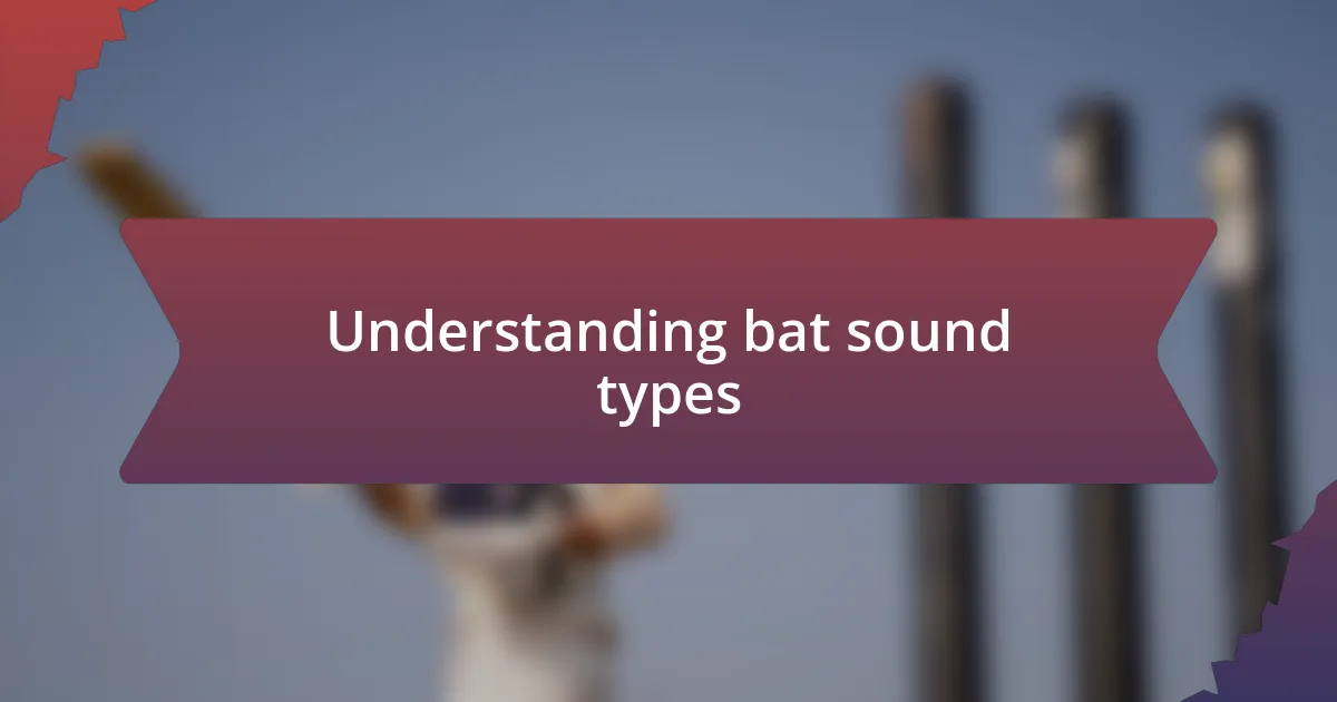 Understanding bat sound types