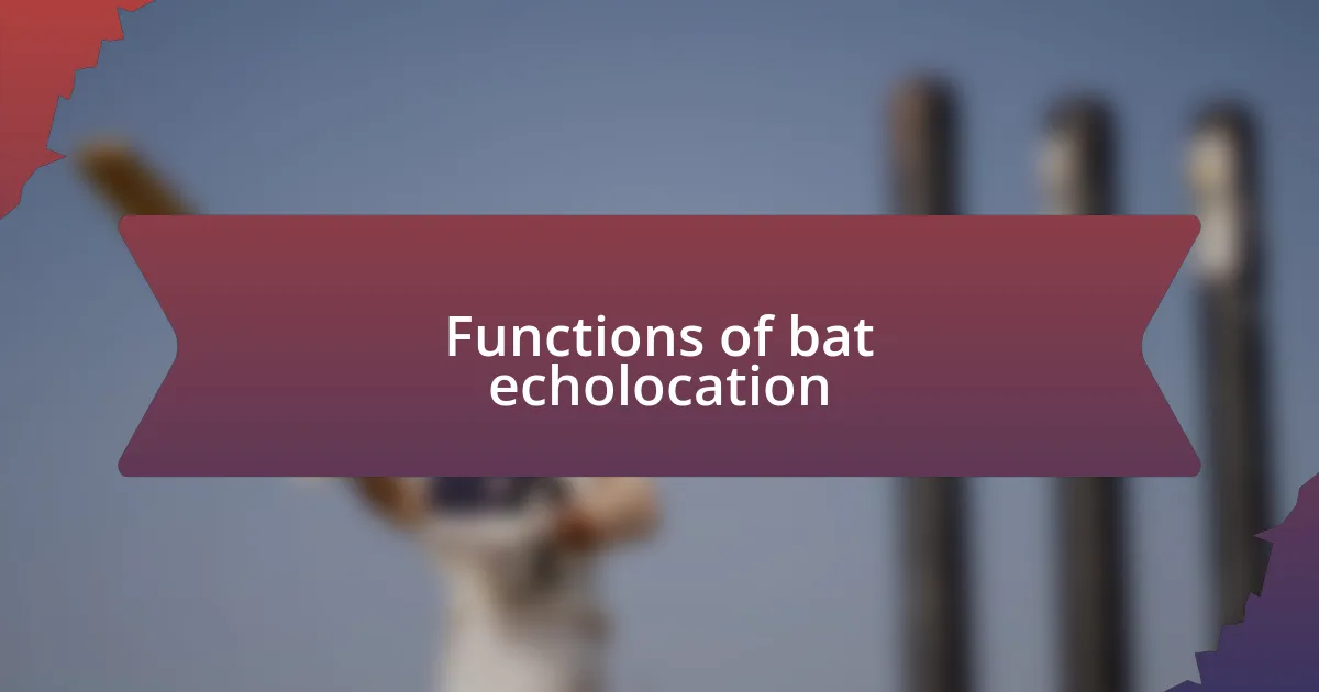 Functions of bat echolocation