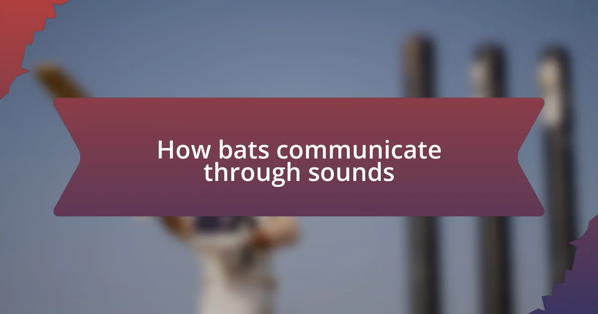 How bats communicate through sounds