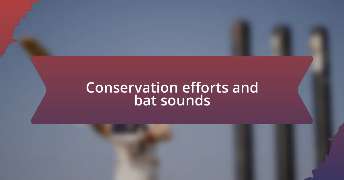 Conservation efforts and bat sounds