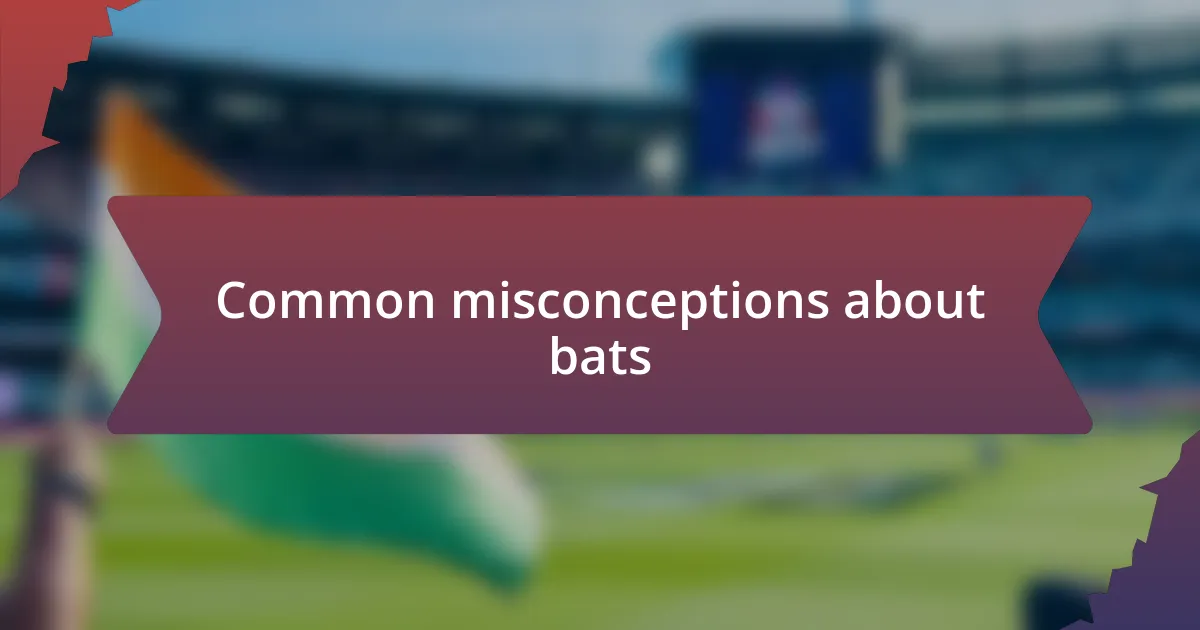 Common misconceptions about bats