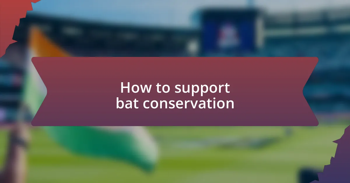 How to support bat conservation