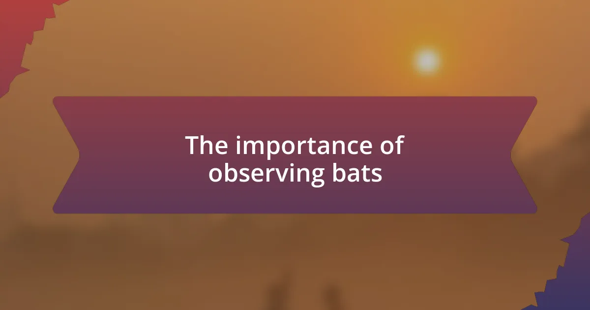 The importance of observing bats