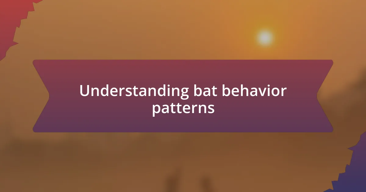 Understanding bat behavior patterns