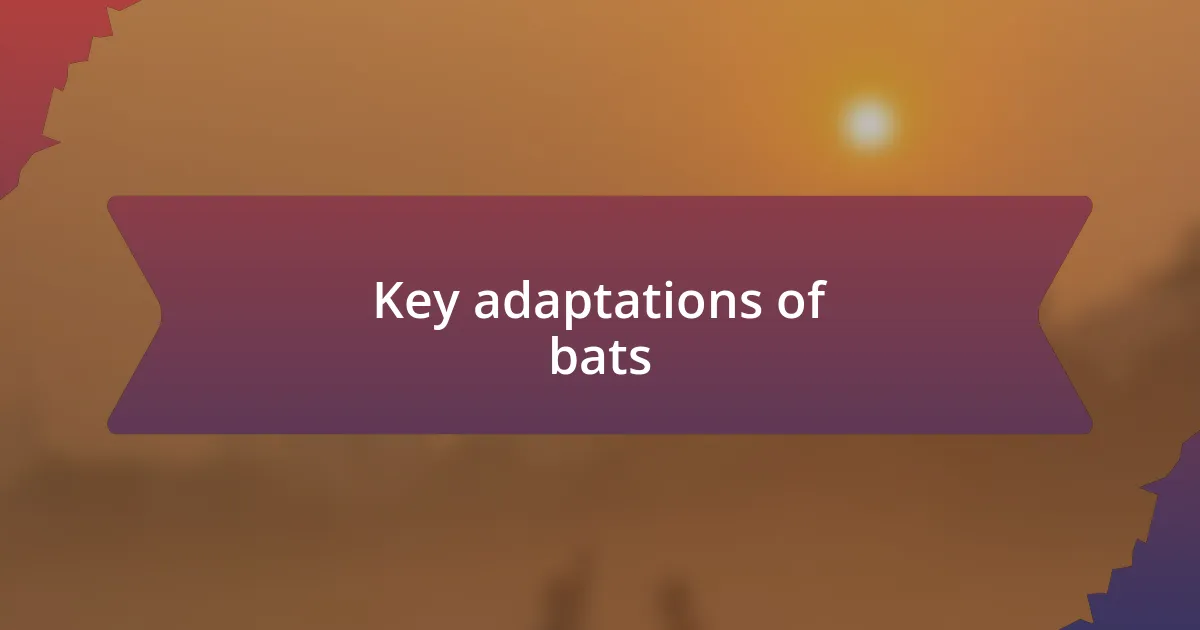 Key adaptations of bats