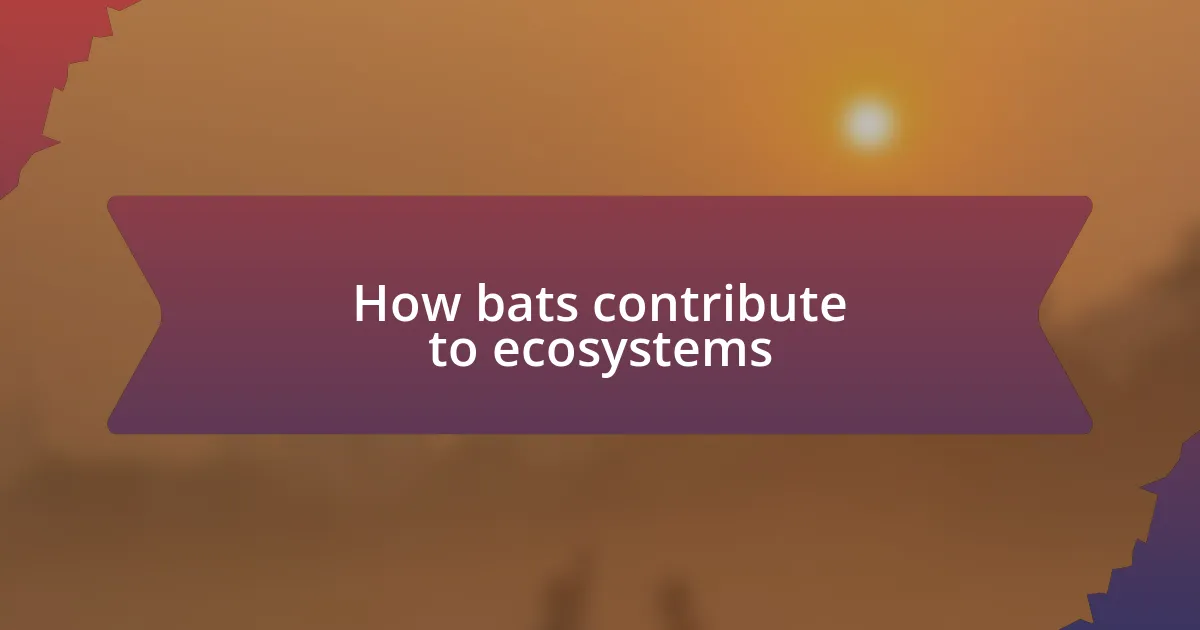 How bats contribute to ecosystems