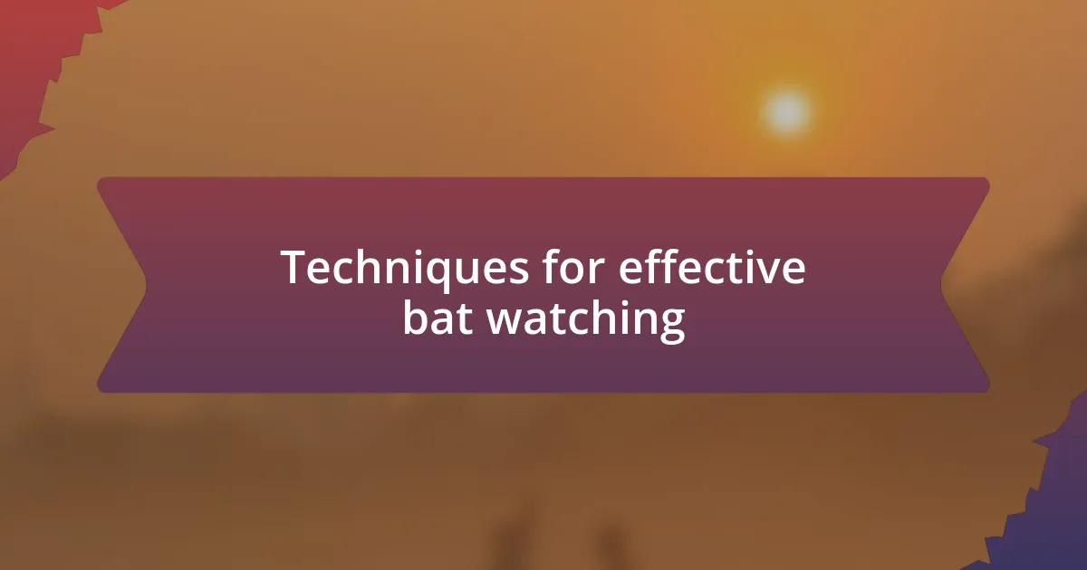 Techniques for effective bat watching