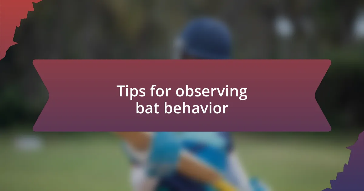 Tips for observing bat behavior