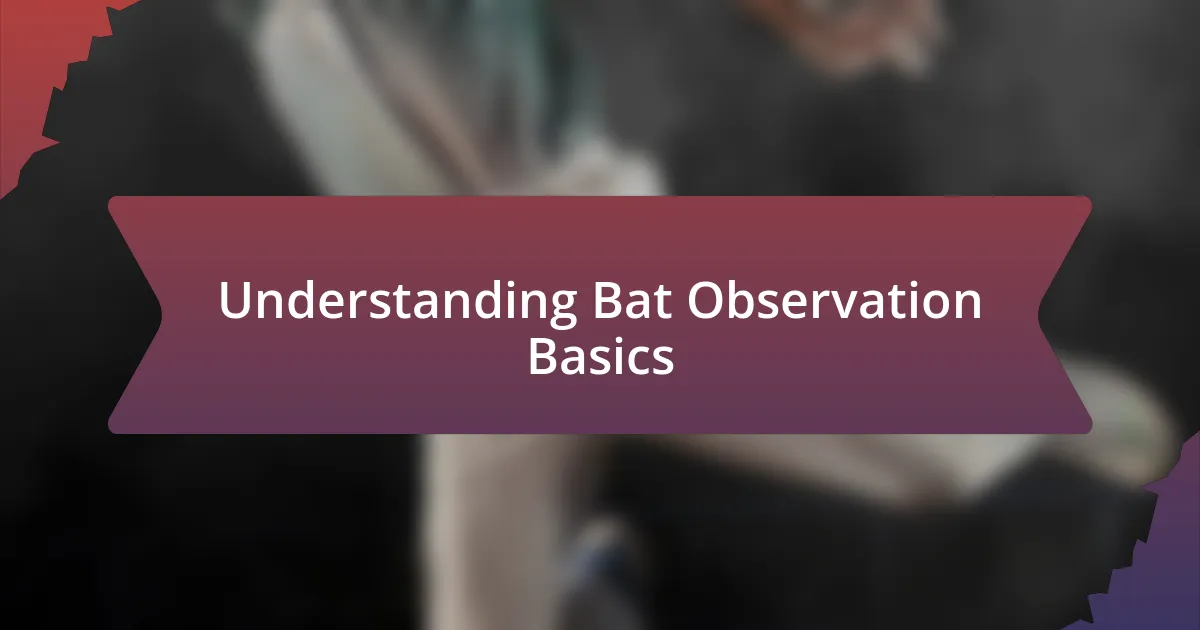 Understanding Bat Observation Basics