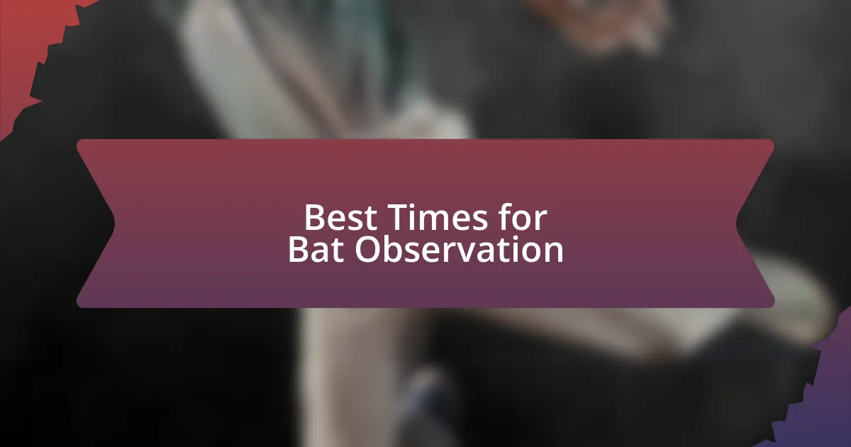 Best Times for Bat Observation