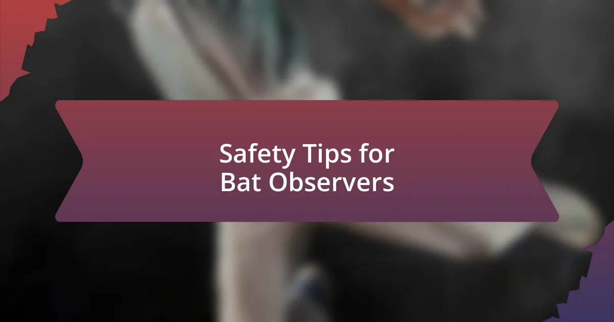 Safety Tips for Bat Observers