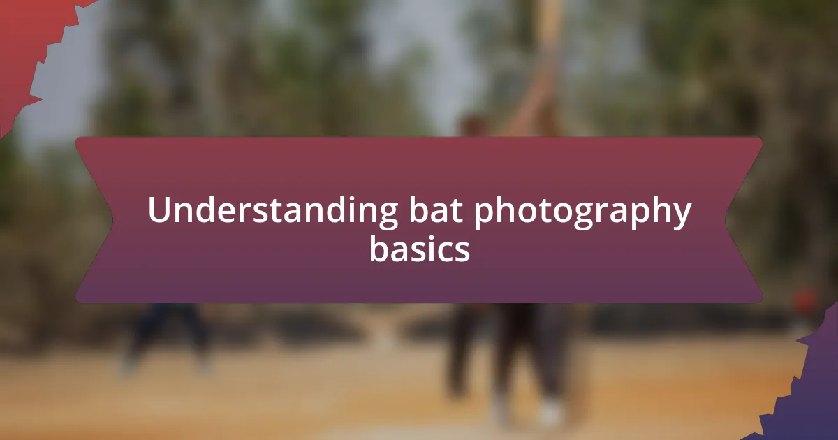 Understanding bat photography basics