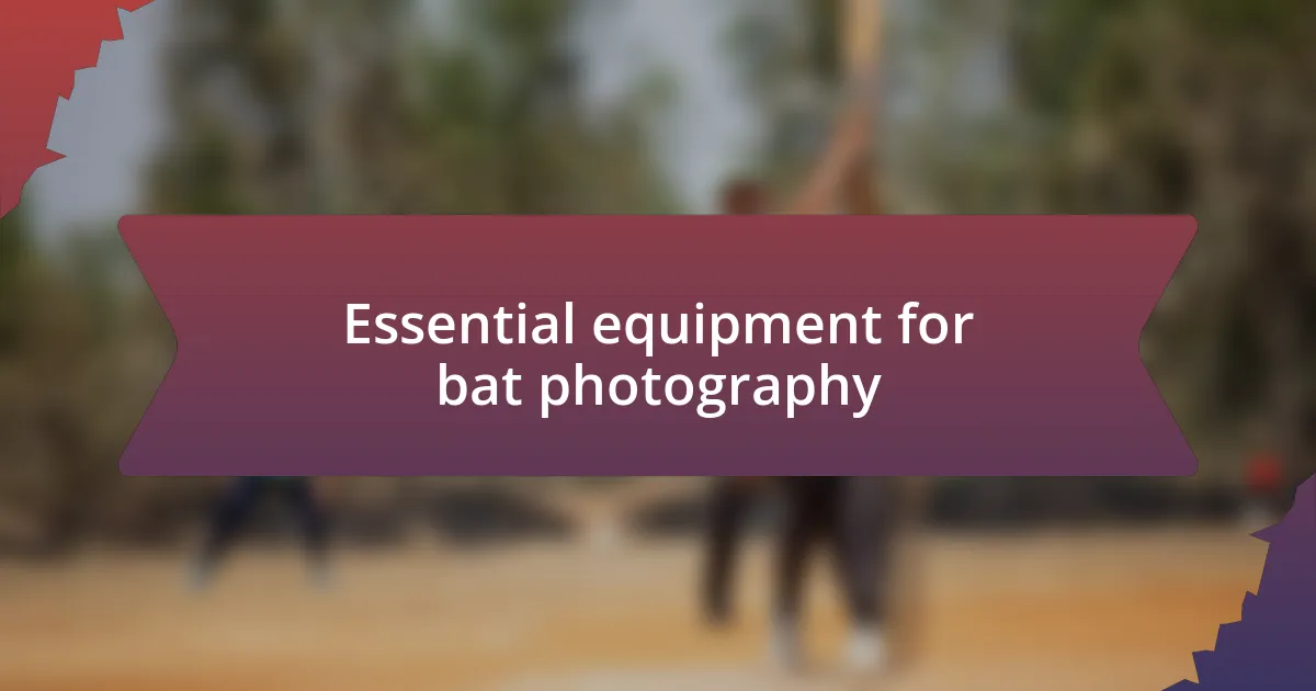 Essential equipment for bat photography