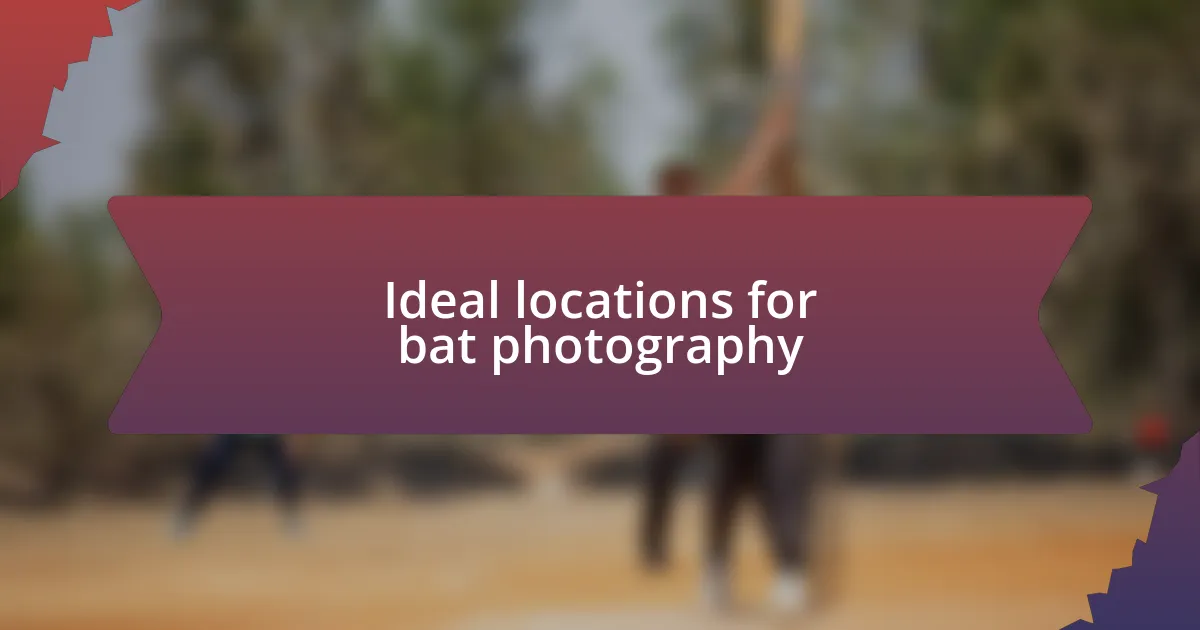 Ideal locations for bat photography